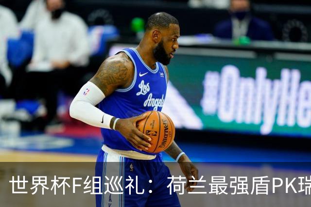 世界杯F组巡礼：荷兰最强盾PK瑞典犀利刀 日本短板明显